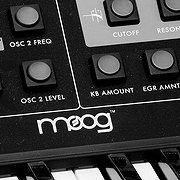 Moog Synth
